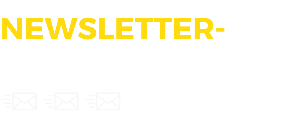 Newsletter Marketing Kurs fuer Anfaenger Newsletter Kickstart
